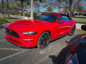 Breaking Free from Practicality: Embracing Adventure, Connection, and&nbsp;Passion